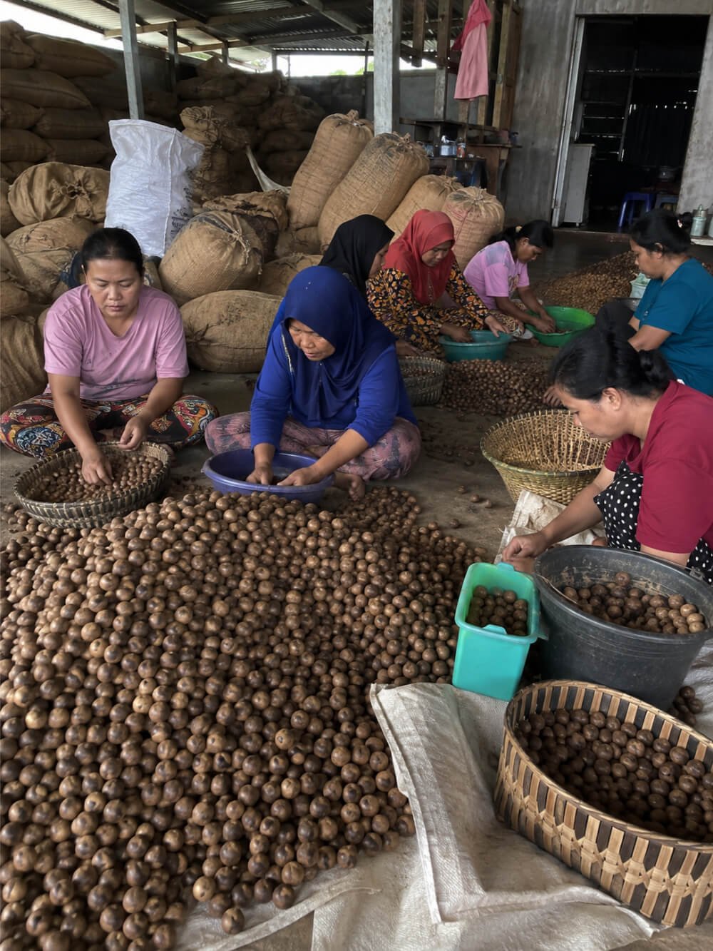 gallery-golden-pinang13