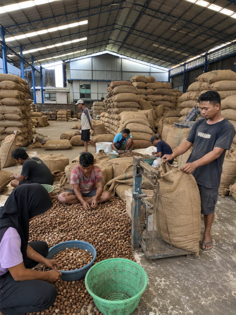 gallery-golden-pinang7